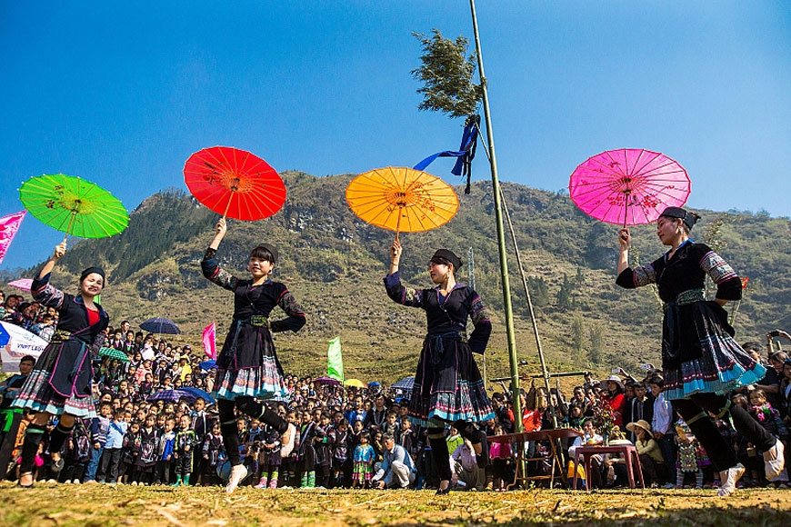 le hoi gau tao