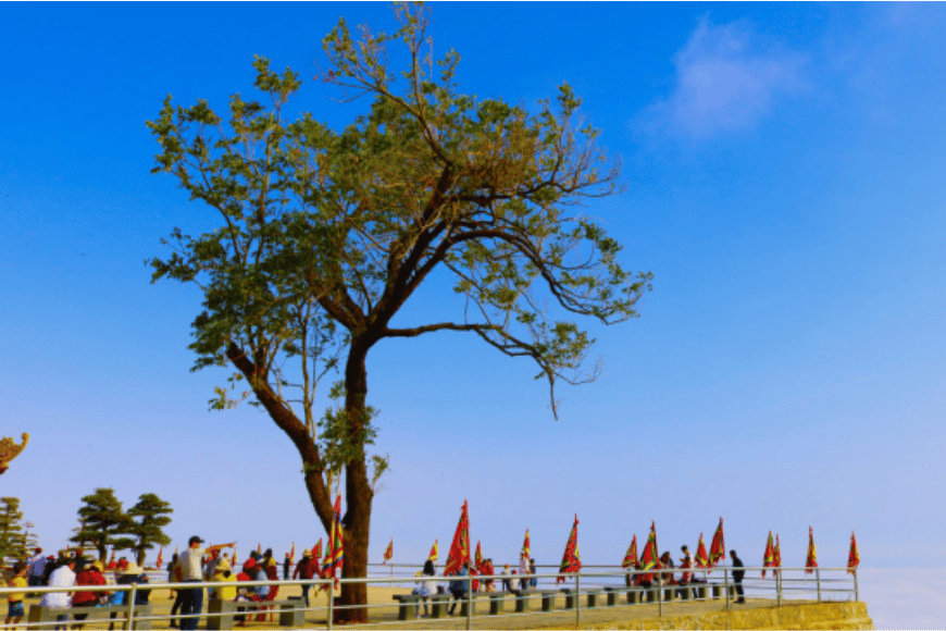 Địa Điểm Check In tỉnh Bình Phước