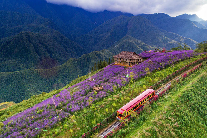 thung lung muong hoa