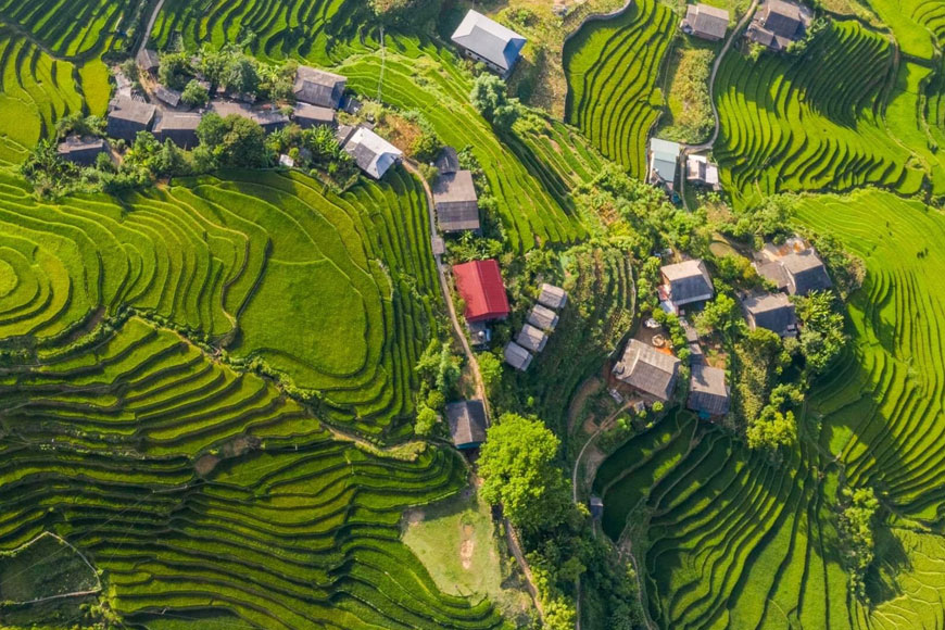 ruong bac thang sapa