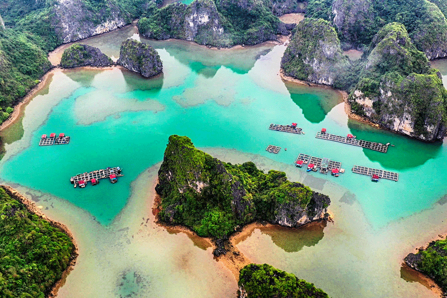 Làng chài Vung Viêng. Ảnh: sưu tầm