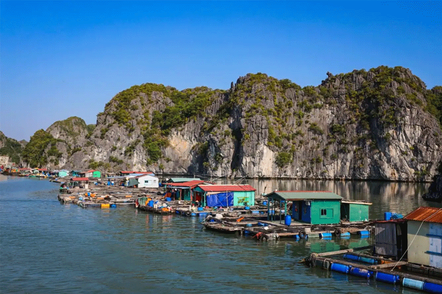 Làng cổ Việt Hải. Ảnh: sưu tầm