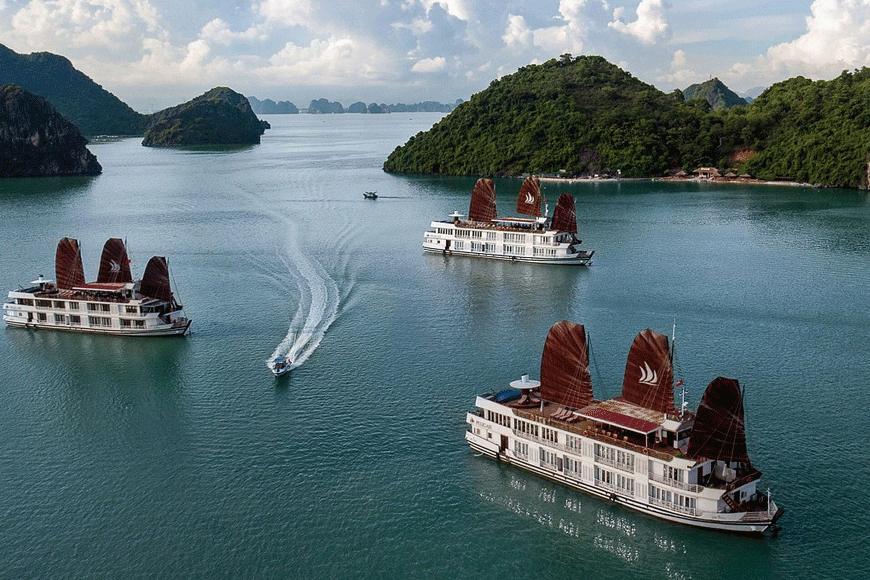 Pelican Halong Cruise. Ảnh: sưu tầm