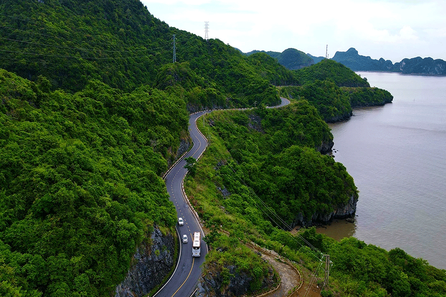 Mùa thu xanh mướt tại Cát Bà. Ảnh: sưu tầm