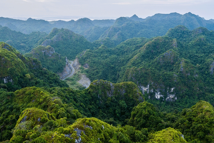 Vườn quốc gia Cát Bà xanh tốt. Ảnh: sưu tầm