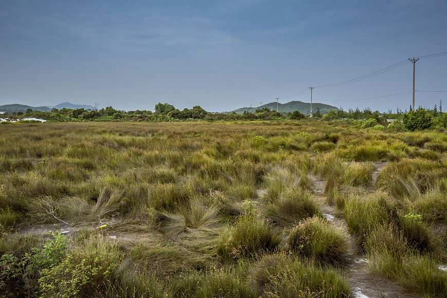 bai co chau au quan lan