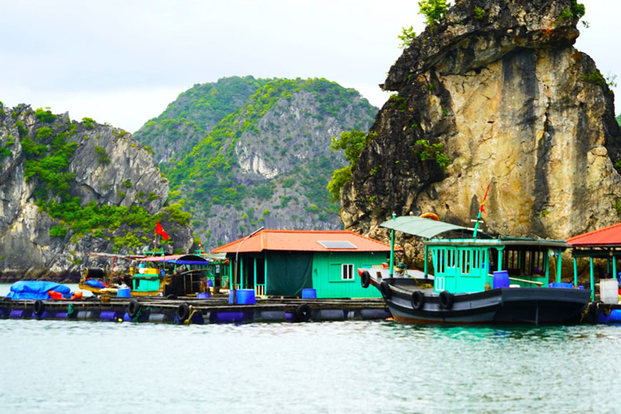 di san khao co lang chai cai beo