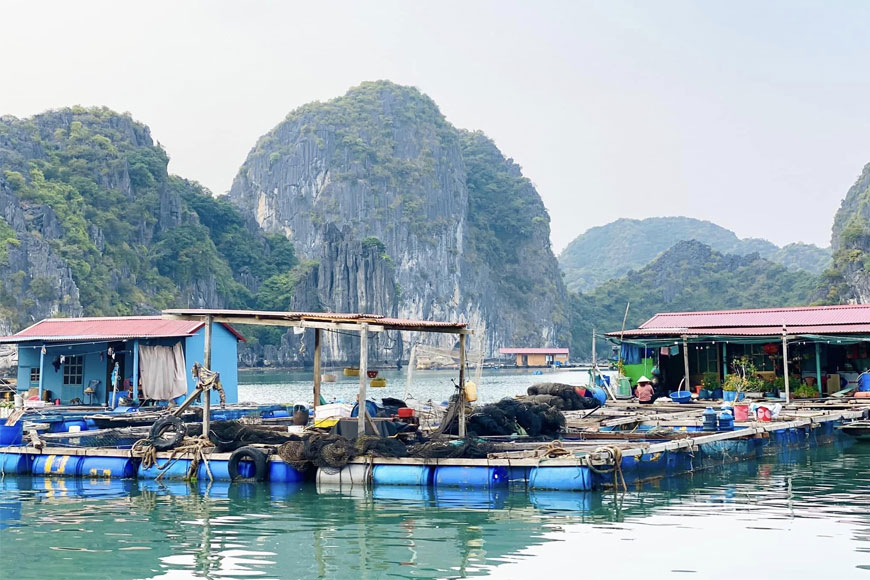 lang chai co viet nam