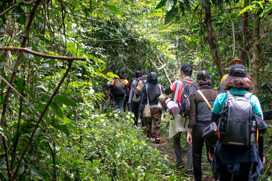 Trekking xuyên rừng