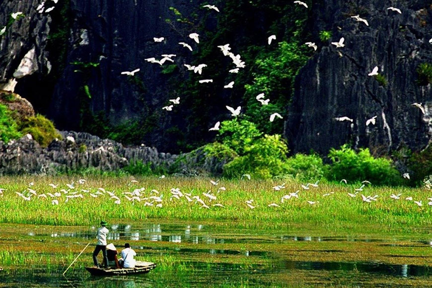 vườn chim thung nham