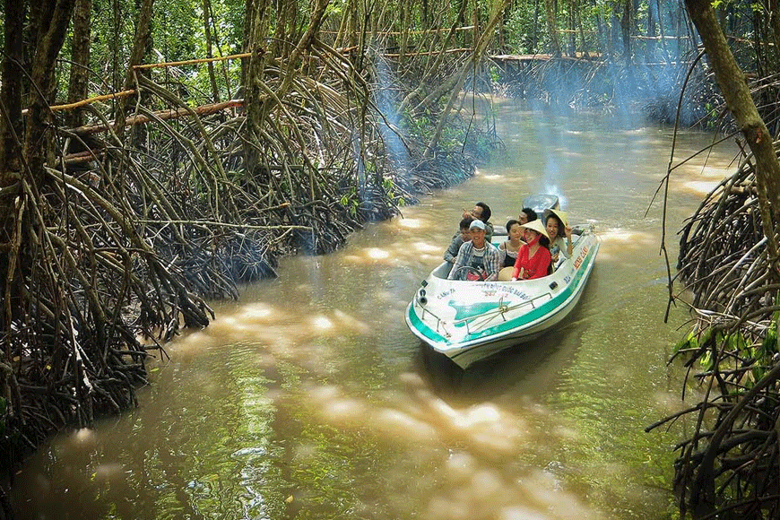 Cano chở du khách tham quan rừng ngập mặn Cà Mau. Ảnh: sưu tầm