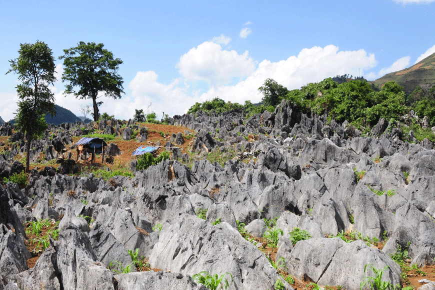 Cao nguyên đá Tủa Chùa. Ảnh: sưu tầm