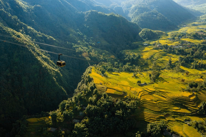 Mường Hoa mùa lúa chín. Ảnh: sưu tầm