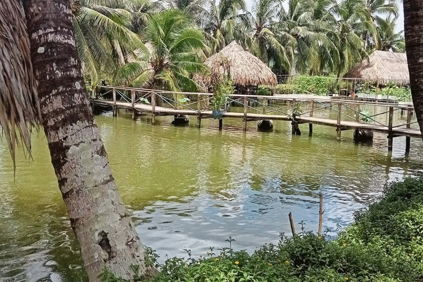 Khung cảnh xanh mát tại KDL Hoa Súng. Ảnh: sưu tầm