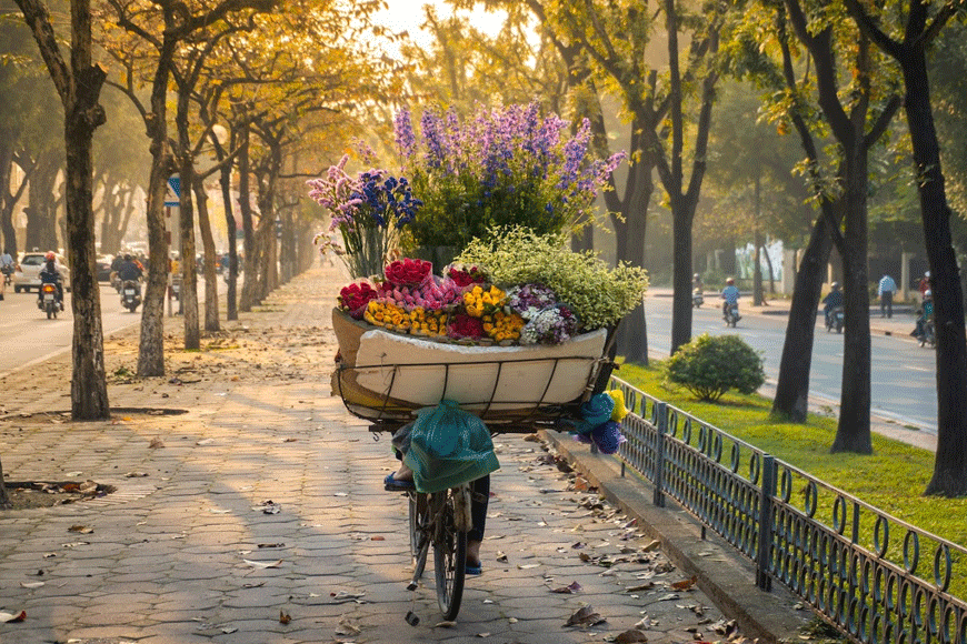 Thu Hà Nội. Ảnh: sưu tầm