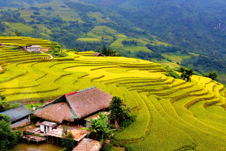 Mùa hè tại Hà Giang. Ảnh: sưu tầm