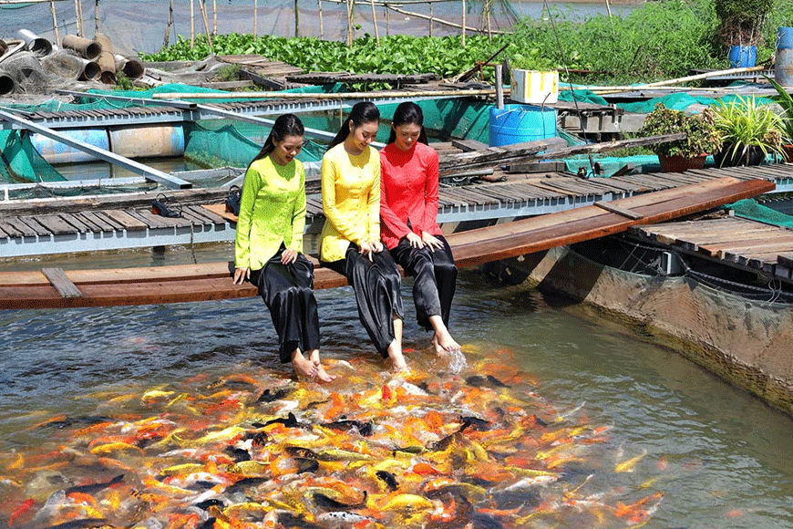 Thư giãn với bè cá Cồn Sơn. Ảnh: sưu tầm