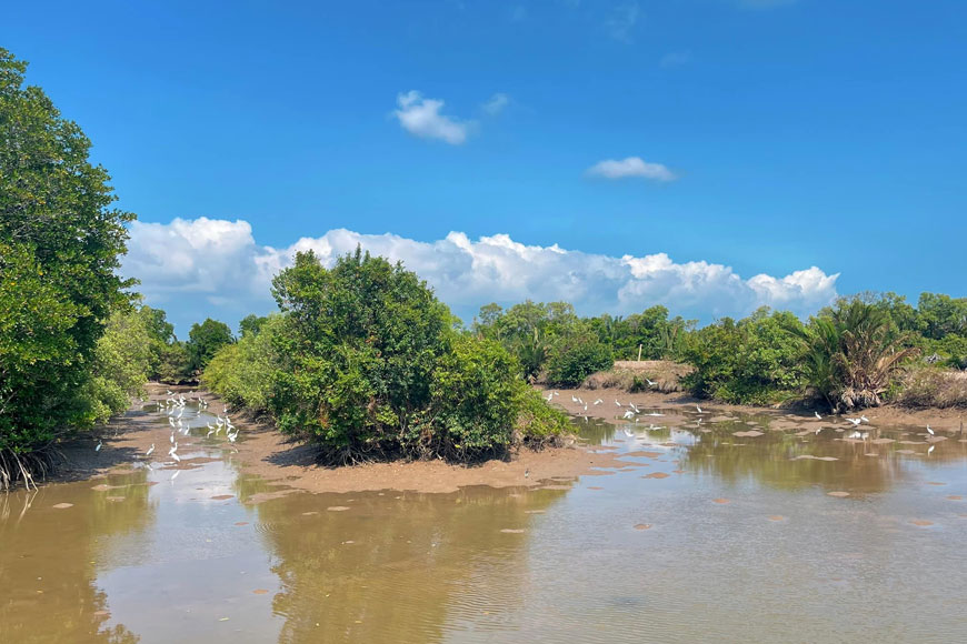 Farmstay Đất Cù Lao