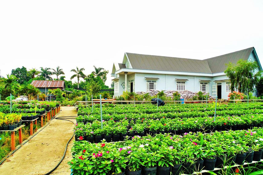 Flower Village Homestay