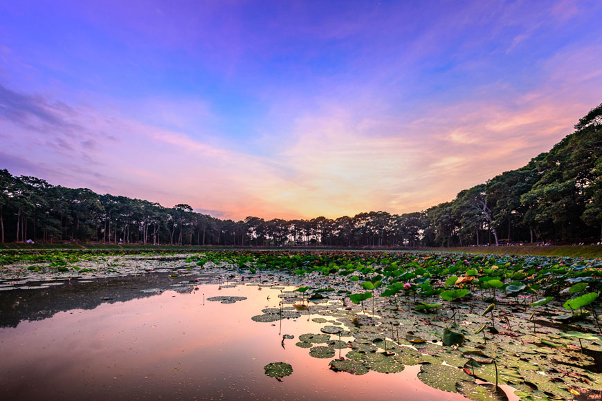 Ao Bà Om Trà Vinh