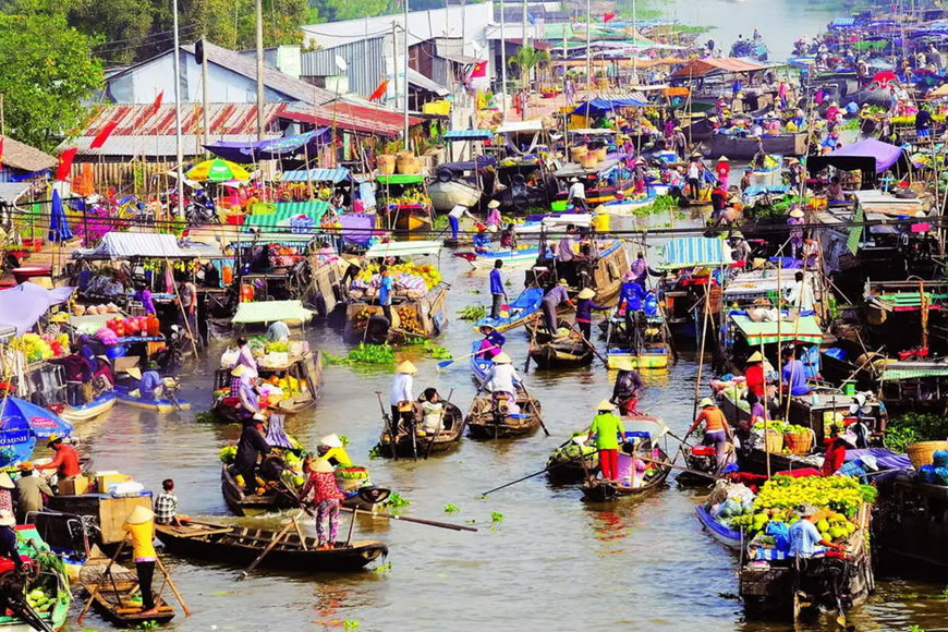 cho noi cai rang