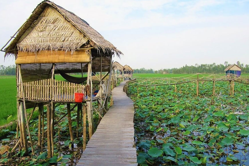 Hai Lúa Homestay