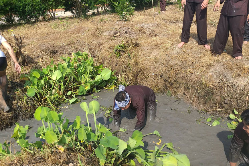 lội mương bắt cá