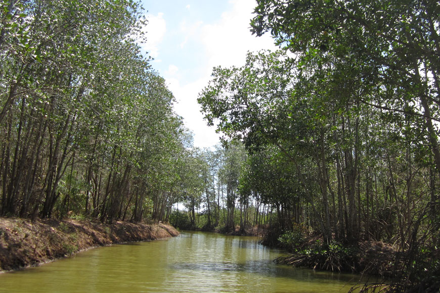 rừng ngập mặn Long Khánh