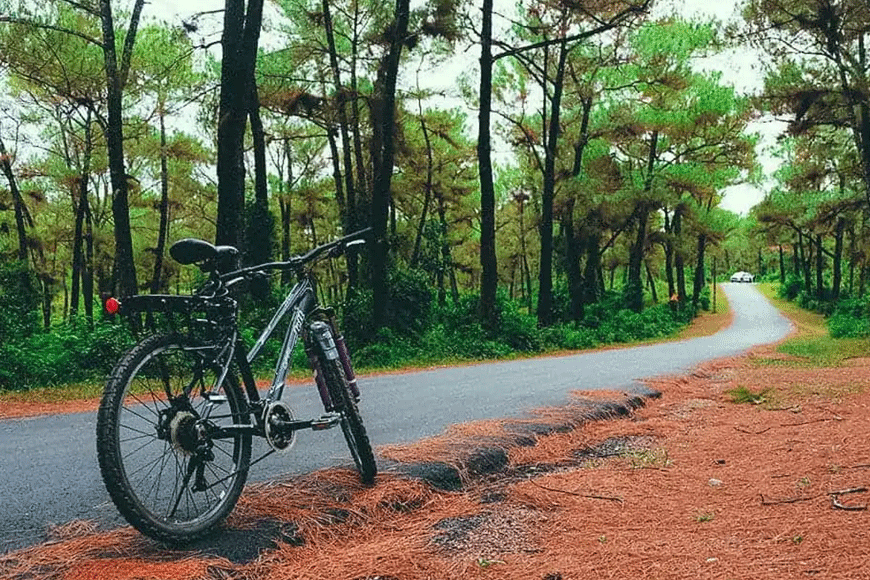 Đạp xe lên đồi Thiên An vô cùng thú vị. Ảnh: sưu tầm