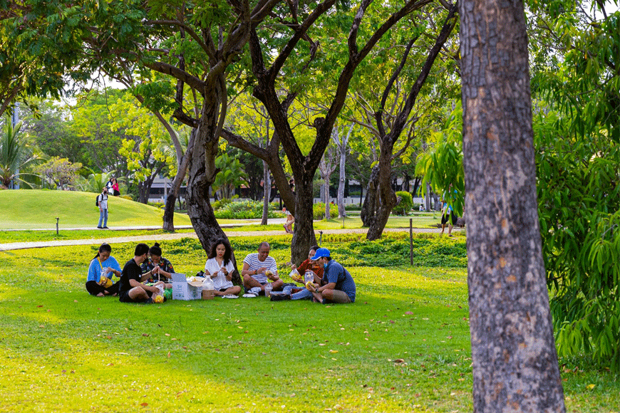 Hoạt động dã ngoại, picnic. Ảnh: sưu tầm