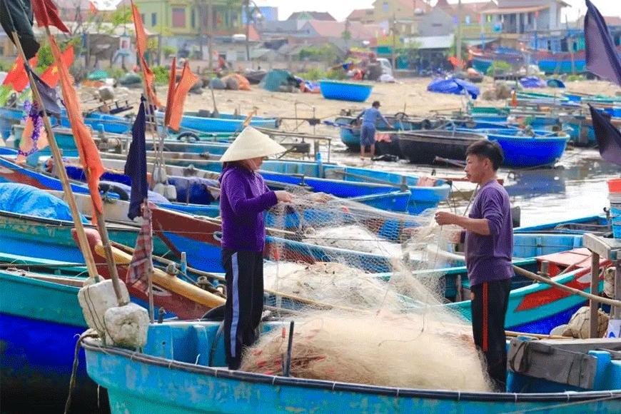 Khám phá cuộc sống ngư trường tại vùng biển Cảnh Dương. Ảnh: sưu tầm