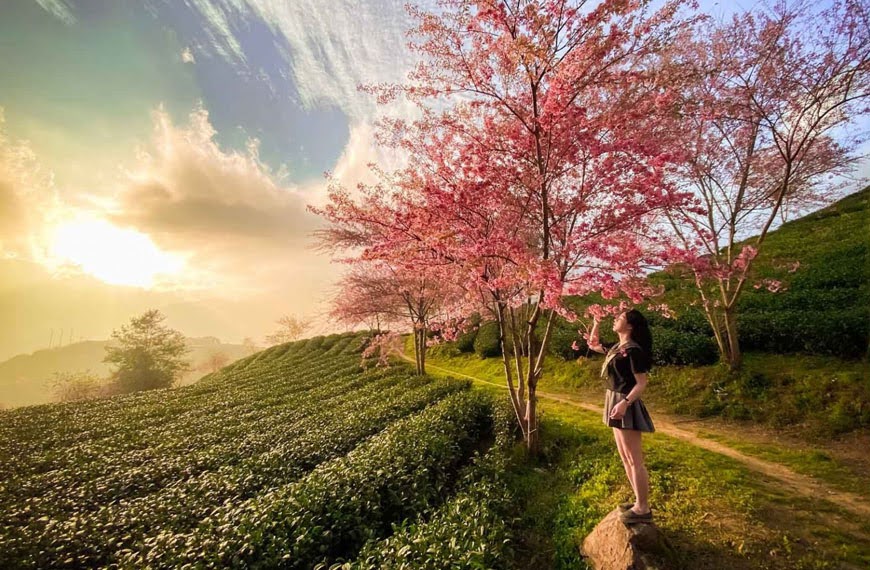 check-in-doi-che-o-long