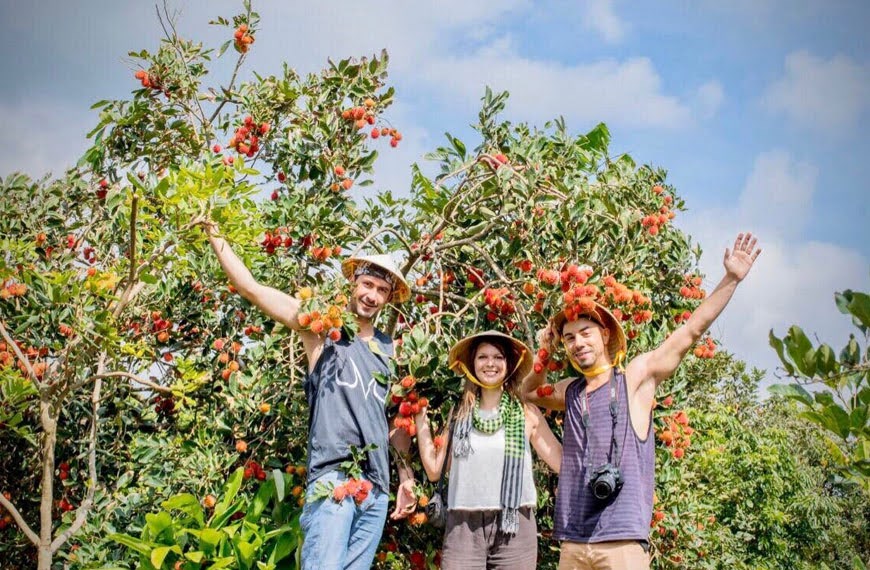 check-in vườn trái cây