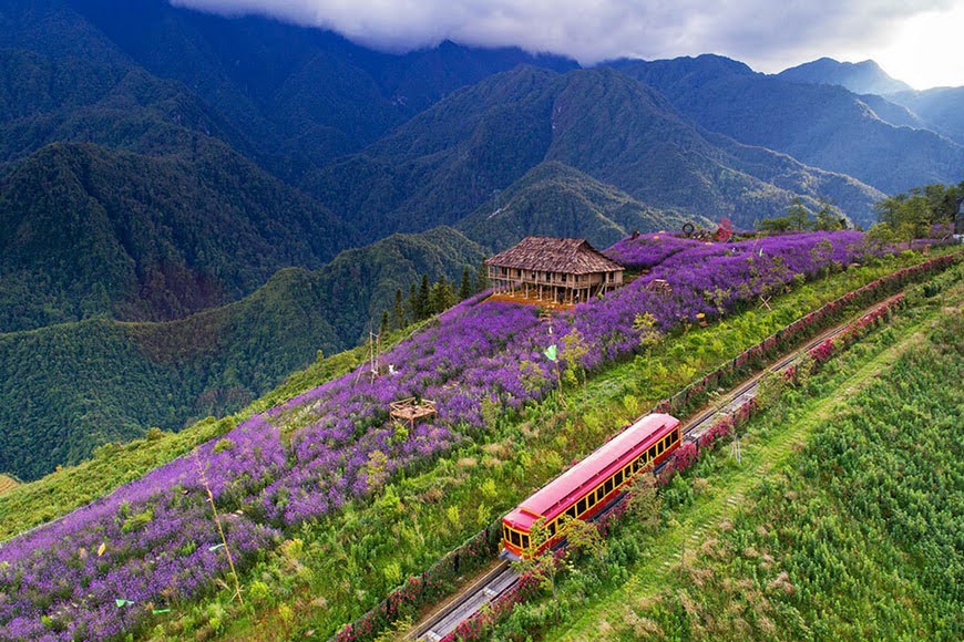 thung lung muong hoa