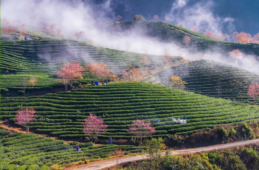 ve-dep-doi-che-o-long