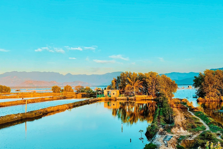 Vẻ đẹp từ thiên nhiên. Ảnh: sưu tầm