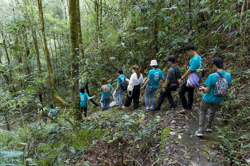 Trekking trong Vườn Quốc gia Bạch Mã. Ảnh: sưu tầm