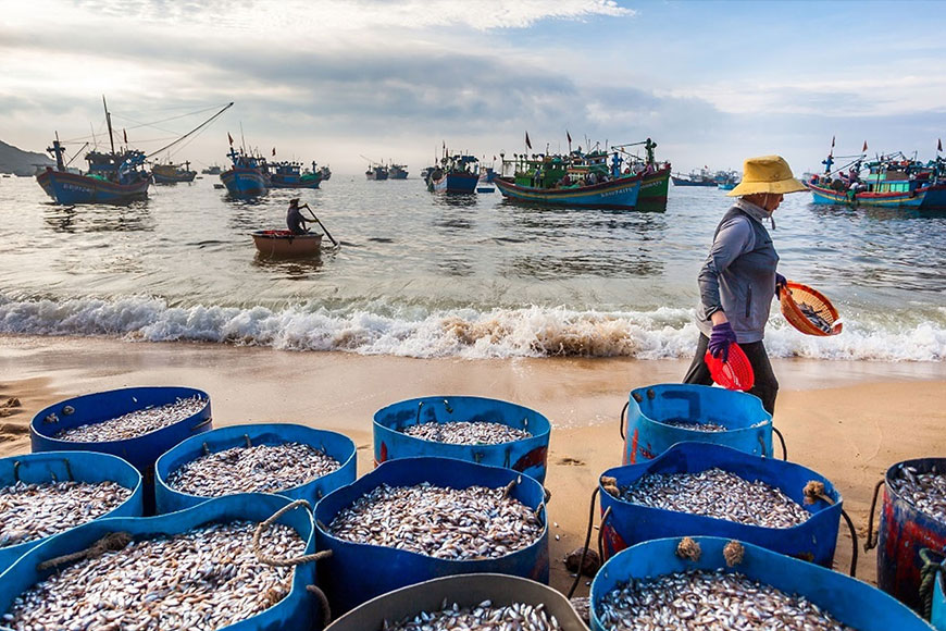 Khám phá các làng Chài Ở Nha Trang. Ảnh: Sưu tầm