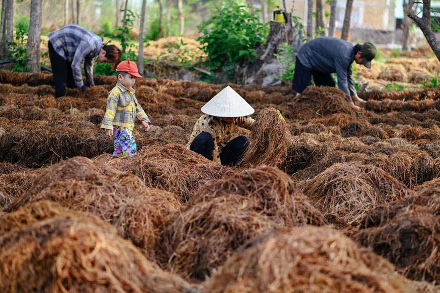 lang trong nam rom le xa dong