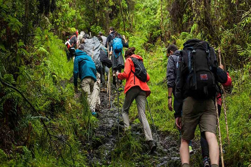 Trên chặng đường trekking tới hố sụt. Ảnh: sưu tầm