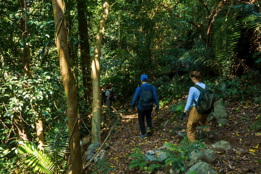 Trekking băng rừng tới hang Tiên. Ảnh: sưu tầm