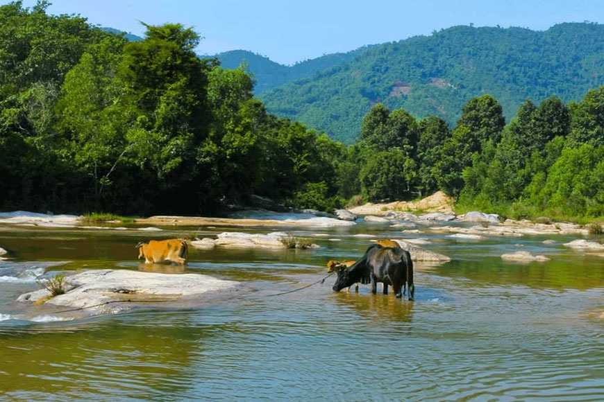 Suoi-Da-Giang