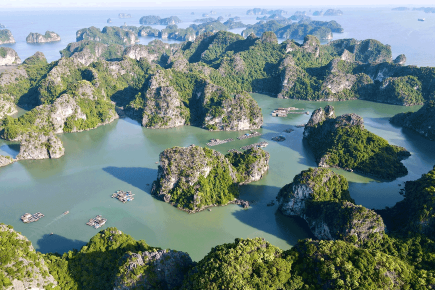 Làng chài yên bình giữa vịnh Hạ Long. Ảnh: sưu tầm