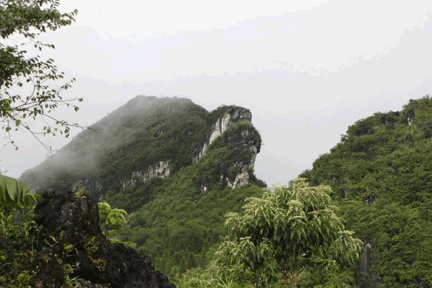 Núi Hàm Rồng tại Sapa. Ảnh: sưu tầm