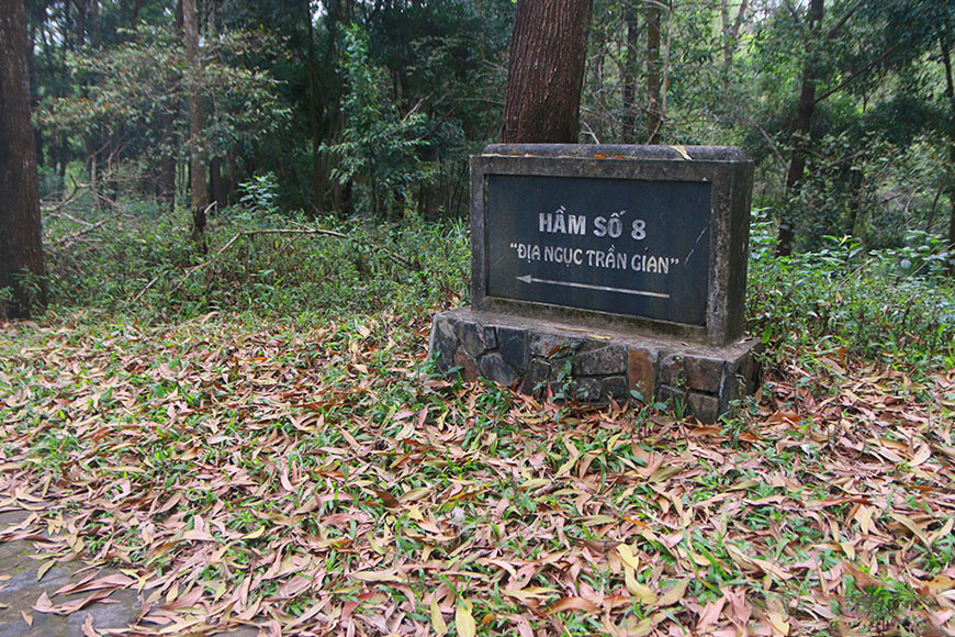 ham-so-8