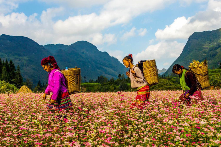 Dừng chân tại thành phố Hà Giang và thưởng ngoạn cảnh sắc ở đây. Ảnh: Sưu tầm 