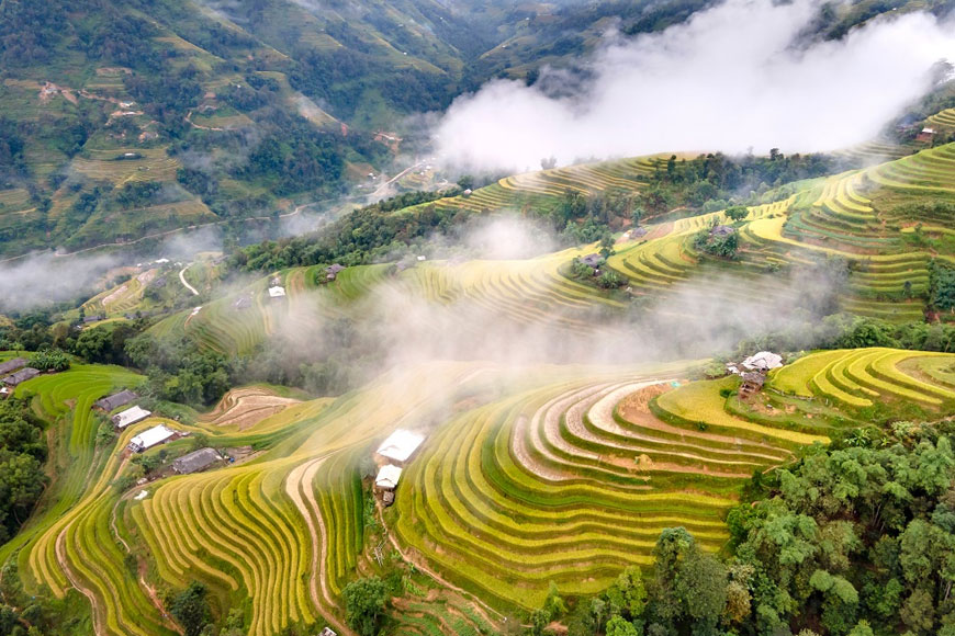 Toàn cảnh Hoàng Su Phì. Ảnh: Sưu tầm