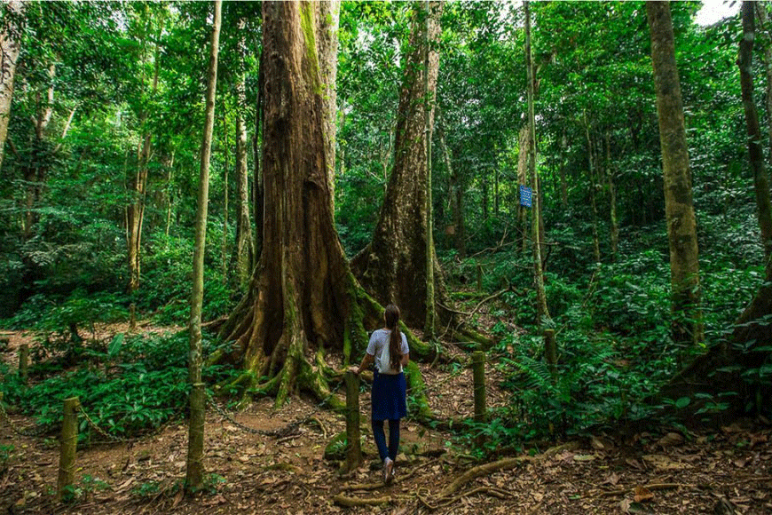 Tham gia trekking khám phá Cúc Phương. Ảnh: sưu tầm