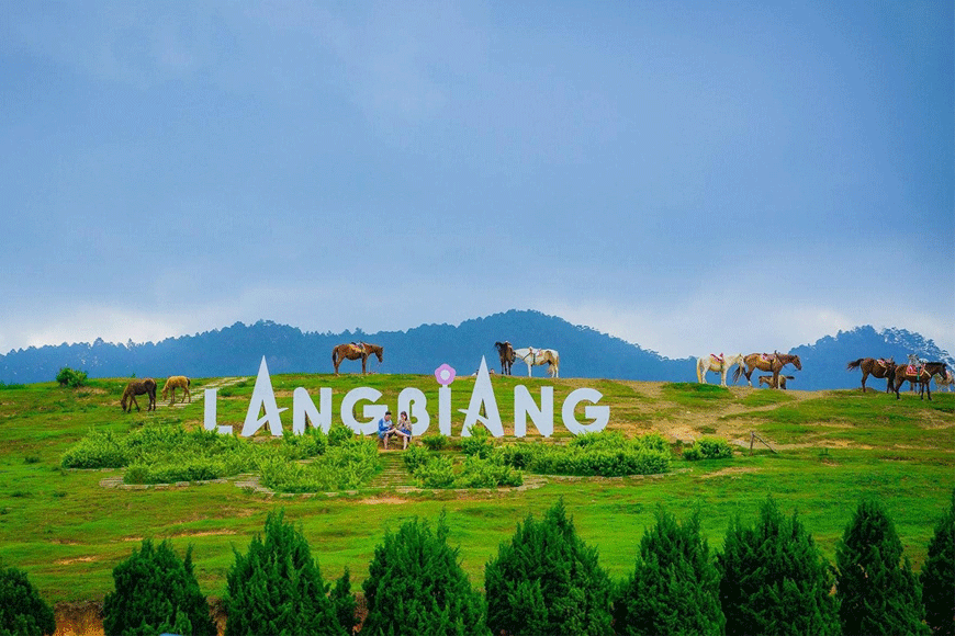 Nét đẹp lãng mạn núi Langbiang. Ảnh: sưu tầm