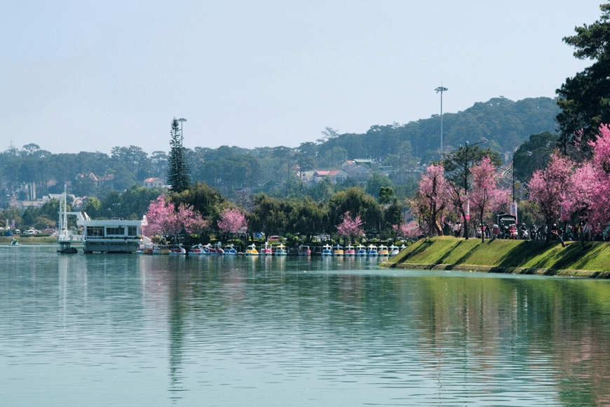 Hồ Xuân Hương bình lặng vào xuân. Ảnh: sưu tầm